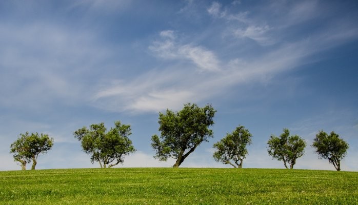 R32 Refrigerant. Everything you need to know